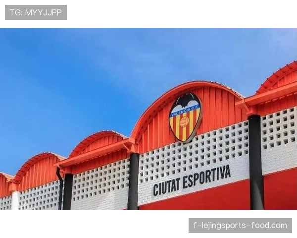 瓦伦西亚近期决策争议加剧，俱乐部运营稳定性与长期规划面临考验